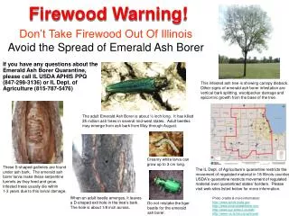 Firewood Warning!