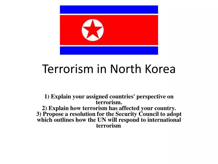 terrorism in north korea