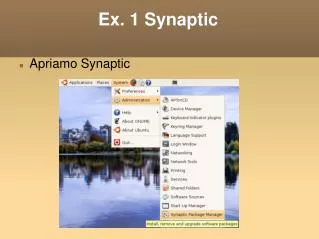 ex 1 synaptic