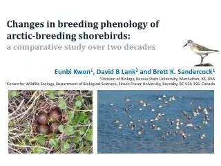 Changes in breeding phenology of arctic-breeding shorebirds: