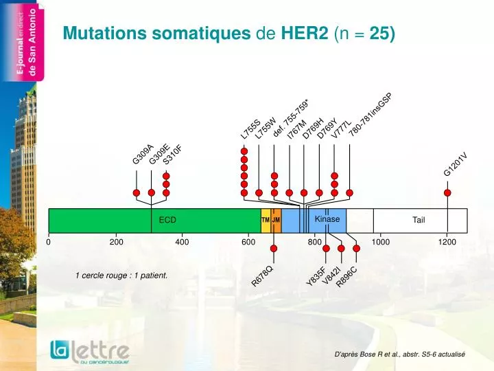 mutations somatiques de her2 n 25