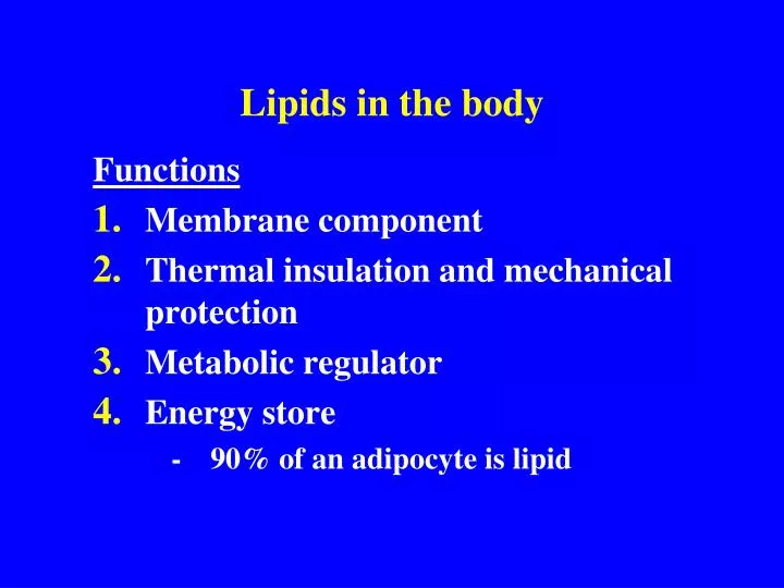lipids in the body