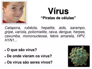 v rus piratas de c lulas