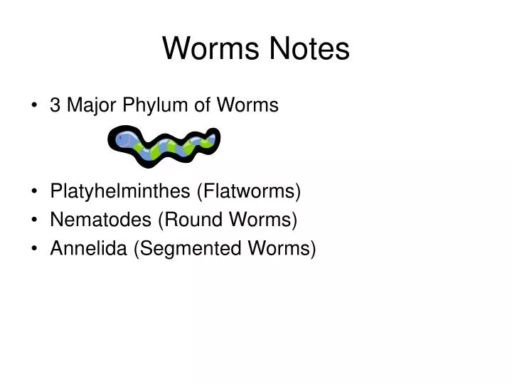 worms notes