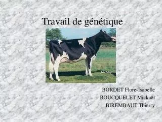 travail de g n tique