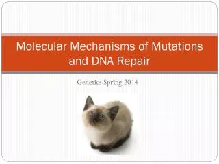Molecular Mechanisms of Mutations and DNA Repair