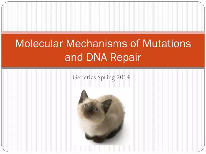 molecular mechanisms of mutations and dna repair