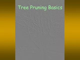 Tree Pruning Basics