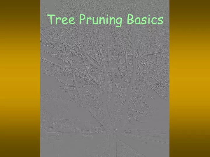 tree pruning basics