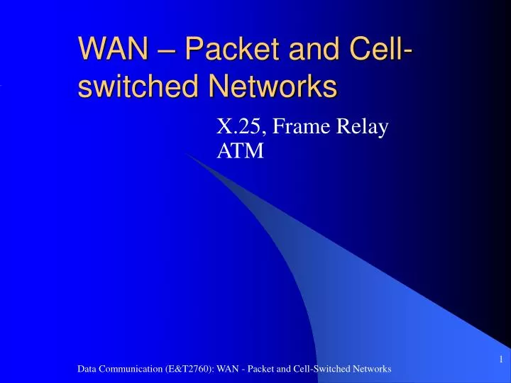 wan packet and cell switched networks
