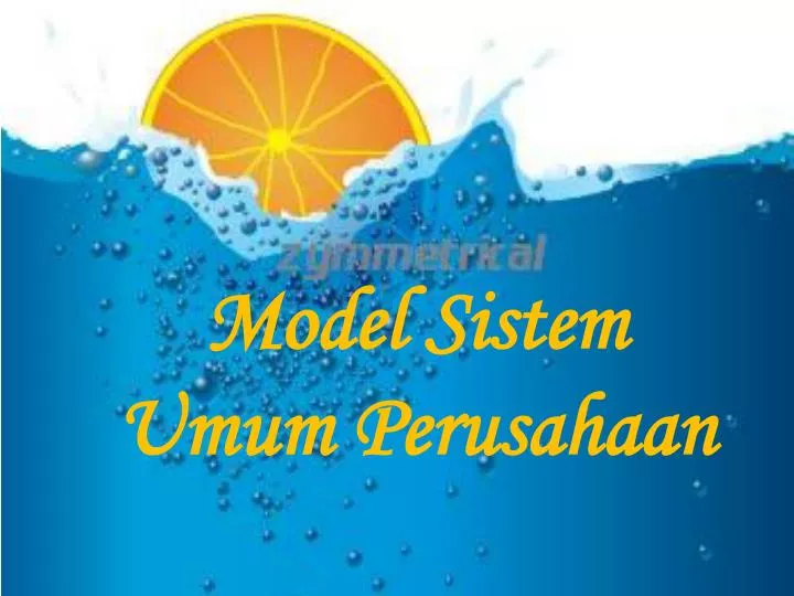 model sistem umum perusahaan