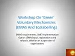 Workshop On ‘Green’ Voluntary Mechanisms (EMAS And Ecolabelling) - slide 1