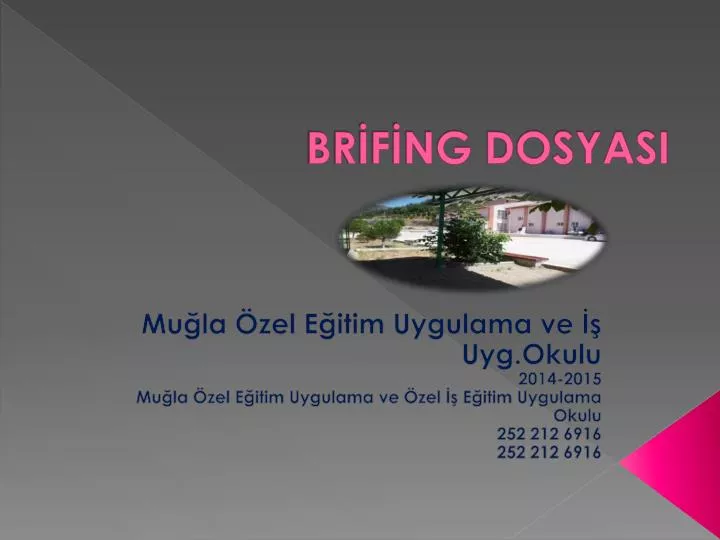 br f ng dosyasi