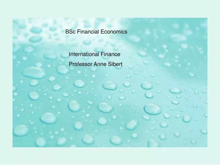 bsc financial economics bubbles