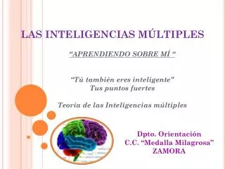 las inteligencias m ltiples