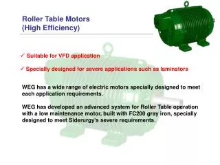 Roller Table Motors (High Efficiency)