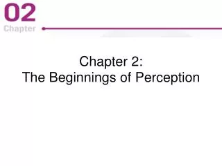 Chapter 2: The Beginnings of Perception