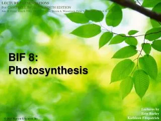 BIF 8: Photosynthesis
