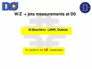W/Z + jets measurements at D0