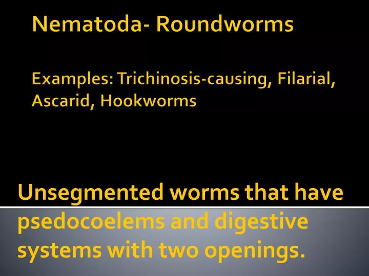 unsegmented worms that have psedocoelems and digestive systems with two openings