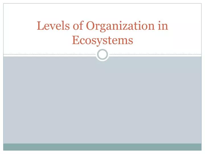 levels of organization in ecosystems