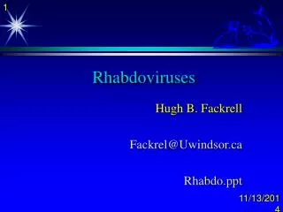 Rhabdoviruses