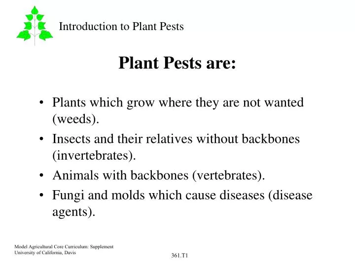 plant pests are