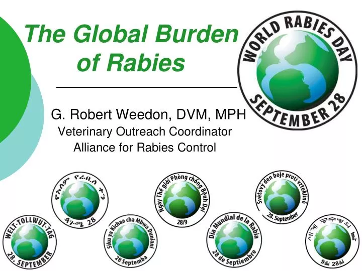 the global burden of rabies