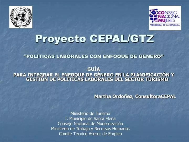 proyecto cepal gtz