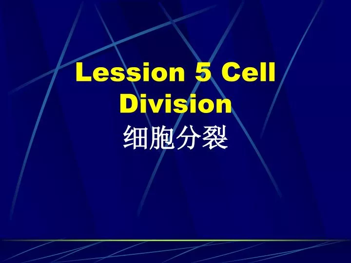 lession 5 cell division