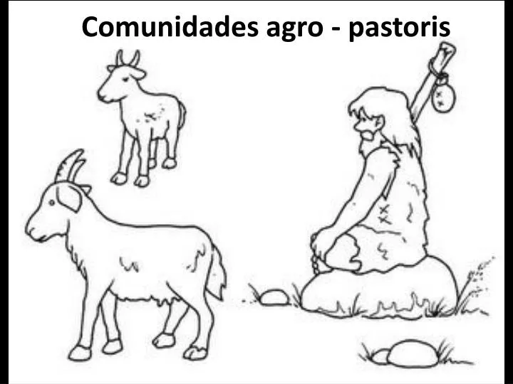 comunidades agro pastoris
