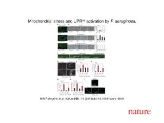 MW Pellegrino et al. Nature 000 , 1-4 (2014) doi:10.1038/nature13818