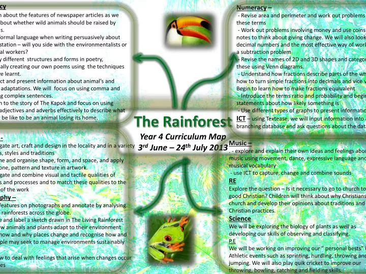 the rainforest year 4 curriculum map 3 rd june 24 th july 2013