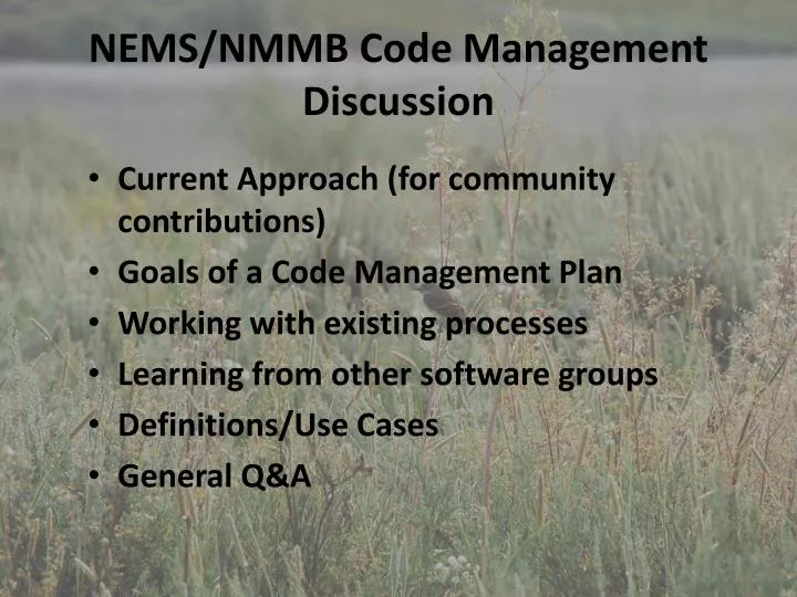 nems nmmb code management discussion