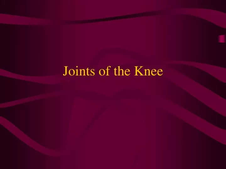 joints of the knee