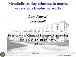 Metabolic scaling relations in marine ecosystems trophic networks