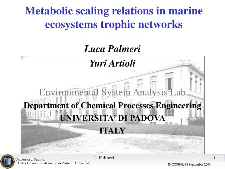 metabolic scaling relations in marine ecosystems trophic networks