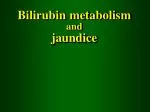 Bilirubin metabolism and jaundice - slide 1