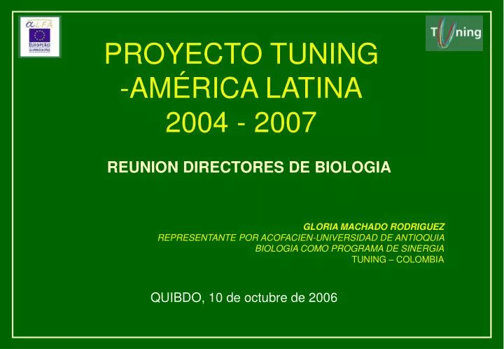 proyecto tuning am rica latina 2004 2007