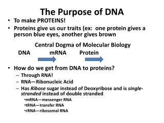 The Purpose of DNA