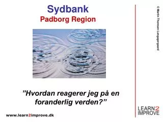 sydbank padborg region