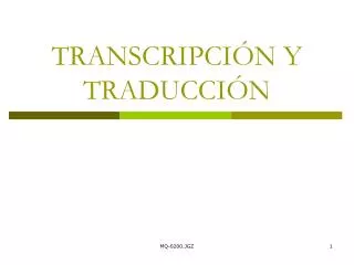 transcripci n y traducci n