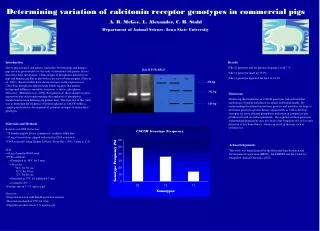 Determining variation of calcitonin receptor genotypes in commercial pigs