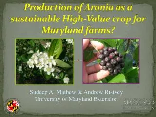 Production of Aronia as a sustainable High-Value crop for Maryland farms?