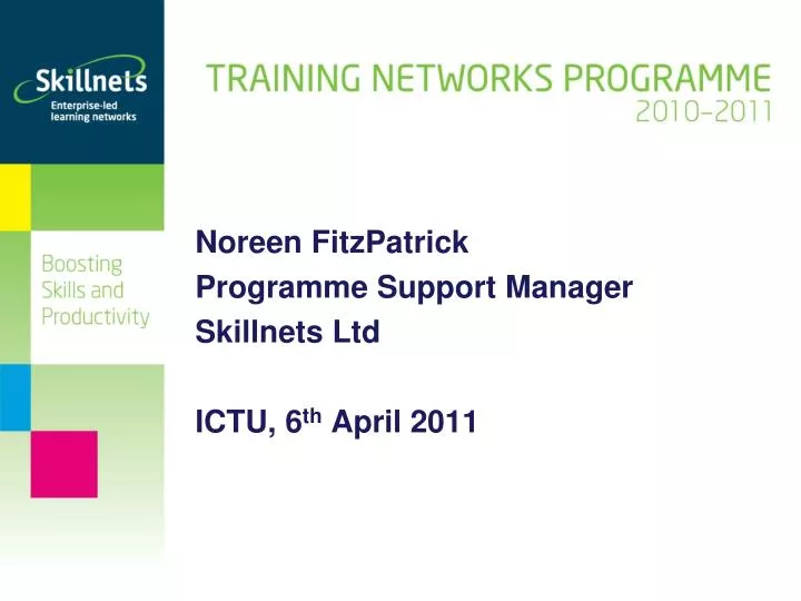 noreen fitzpatrick programme support manager skillnets ltd ictu 6 th april 2011