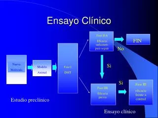 ensayo cl nico