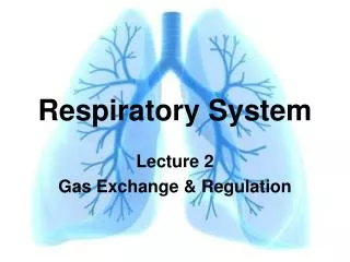 Respiratory System