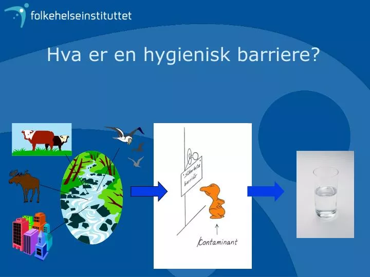 hva er en hygienisk barriere