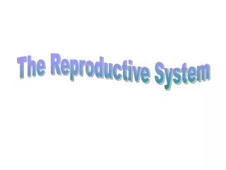 The Reproductive System