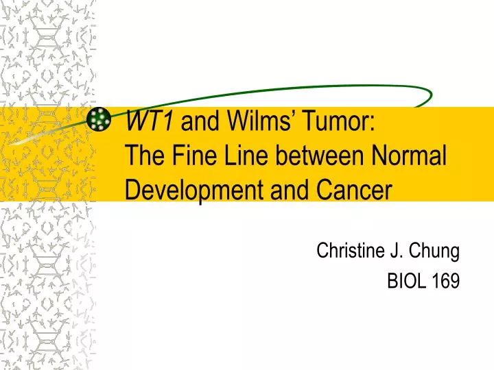wt1 and wilms tumor the fine line between normal development and cancer